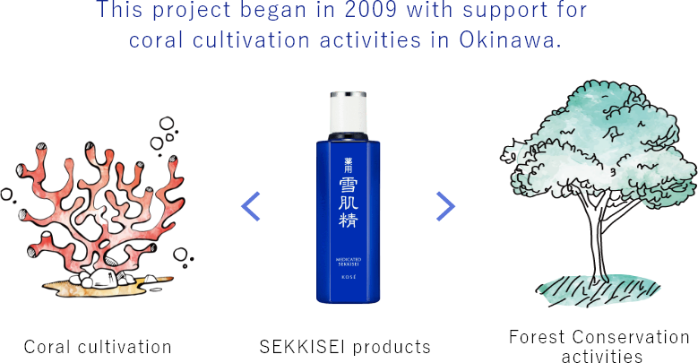 This project began in 2009 with support for coral cultivation activities in Okinawa. Coral cultivation SEKKISEI products Forest Preservation Activities